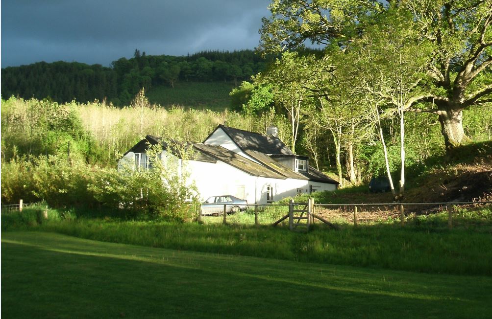 Hendre in the sunshine.